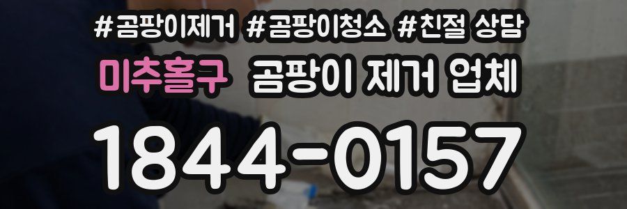 미추홀구 곰팡이 제거 업체