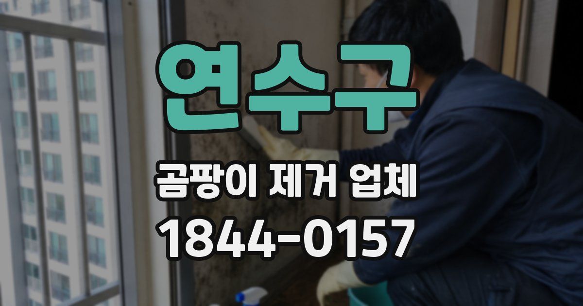 연수구 곰팡이 제거 업체