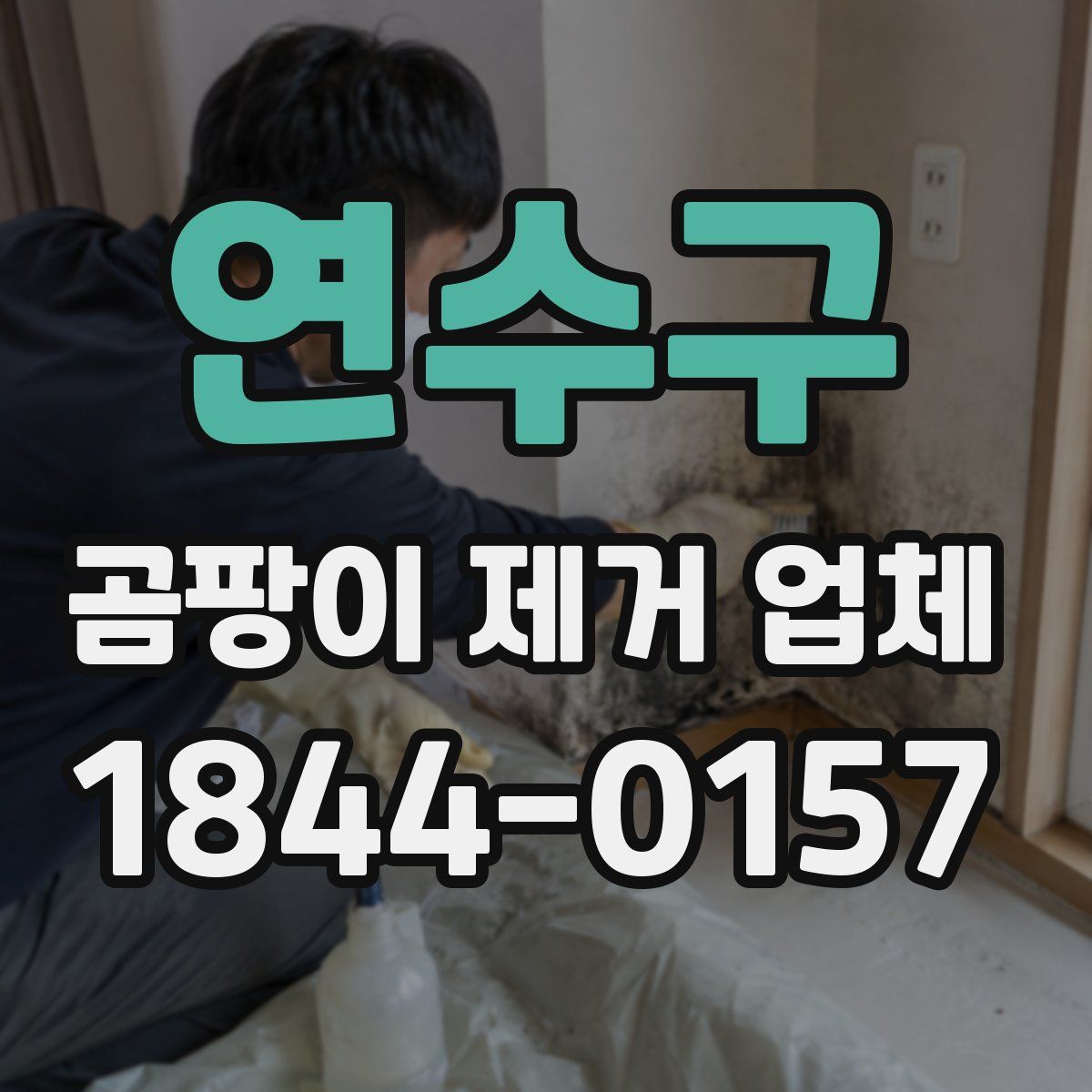 연수구 곰팡이 제거 업체