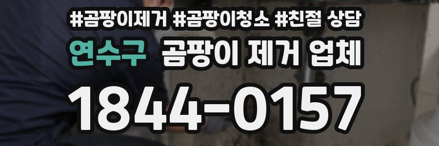 연수구 곰팡이 제거 업체