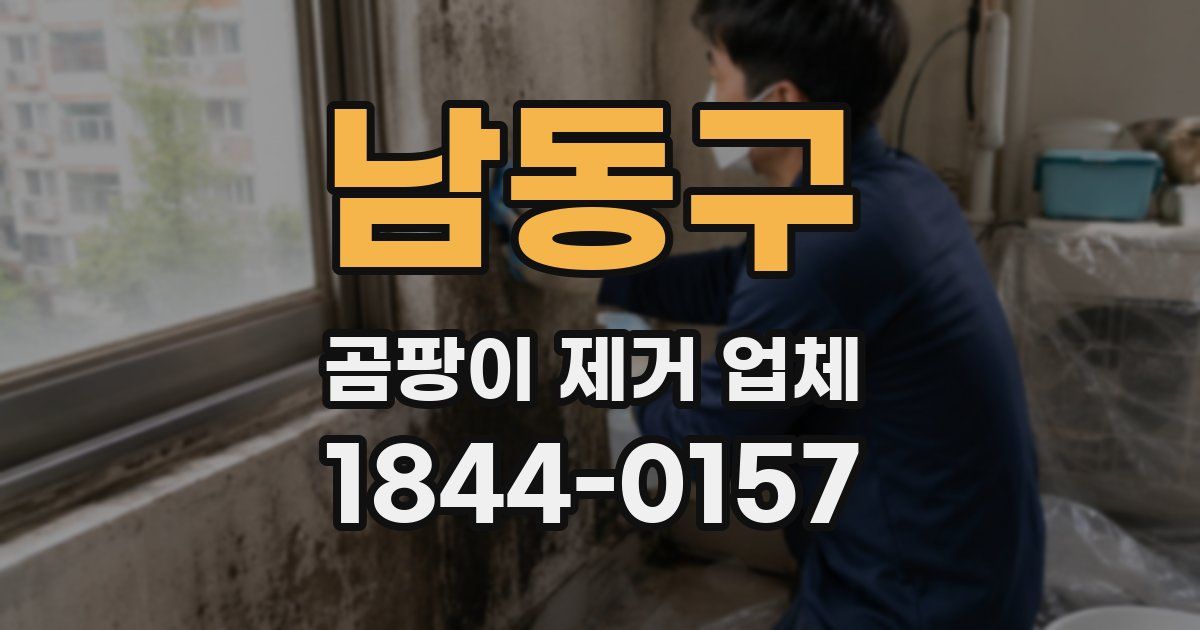 남동구 곰팡이 제거 업체