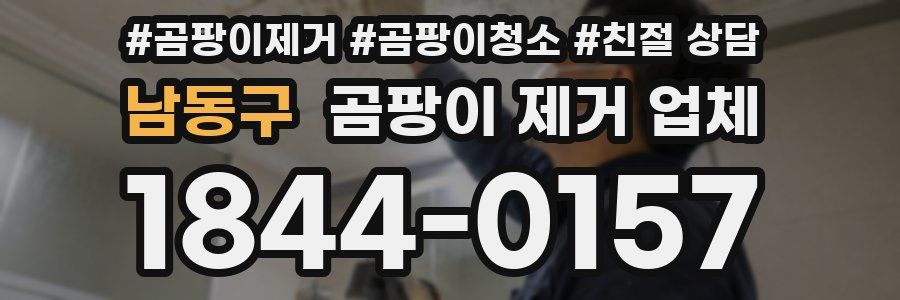 남동구 곰팡이 제거 업체