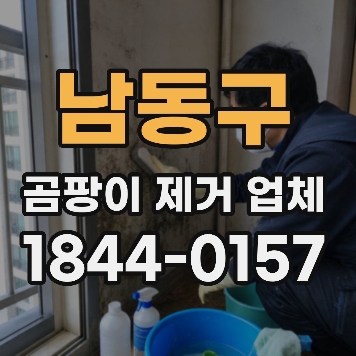 남동구 곰팡이 제거 업체