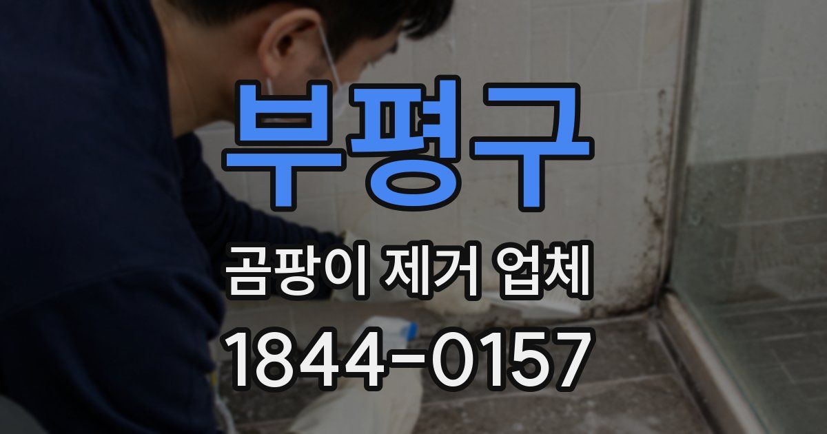 부평구 곰팡이 제거 업체