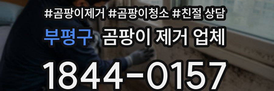 부평구 곰팡이 제거 업체