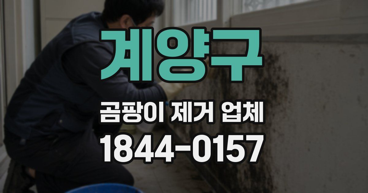 계양구 곰팡이 제거 업체