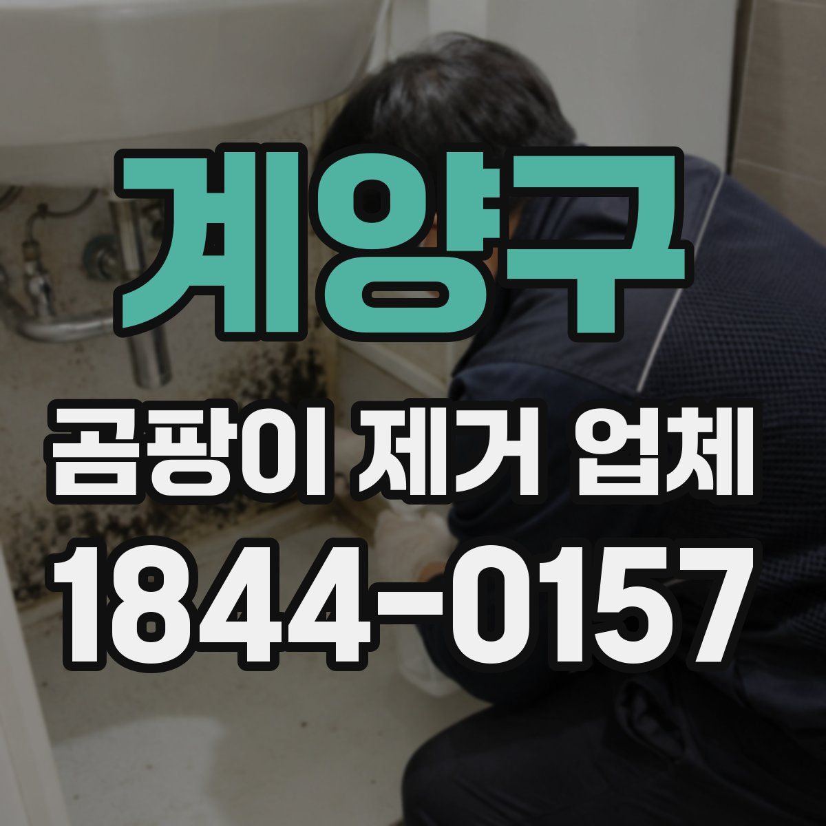 계양구 곰팡이 제거 업체