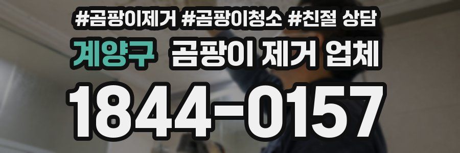 계양구 곰팡이 제거 업체