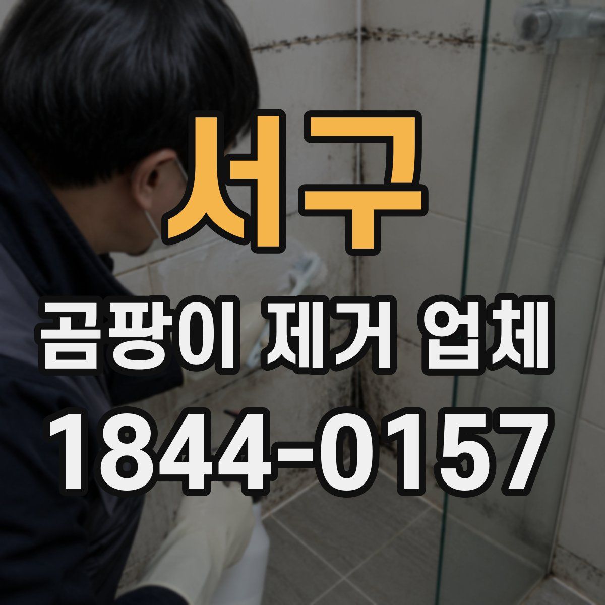 서구 곰팡이 제거 업체