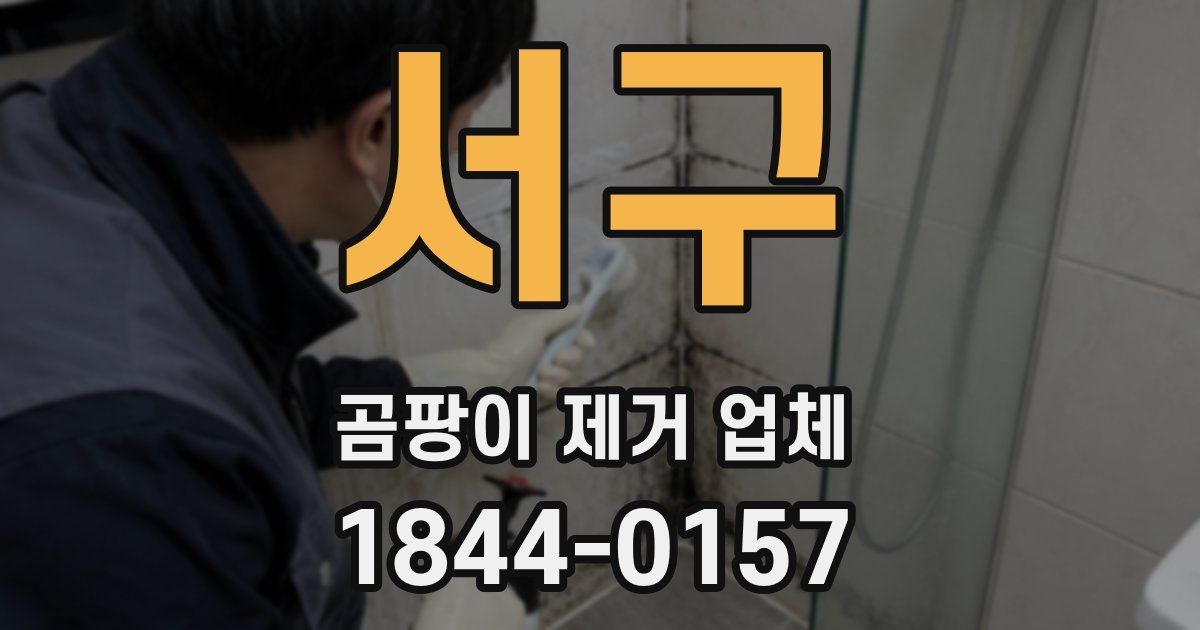 서구 곰팡이 제거 업체