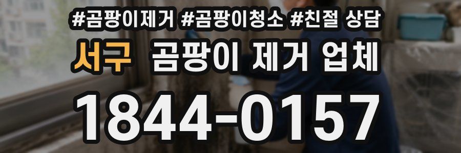 서구 곰팡이 제거 업체