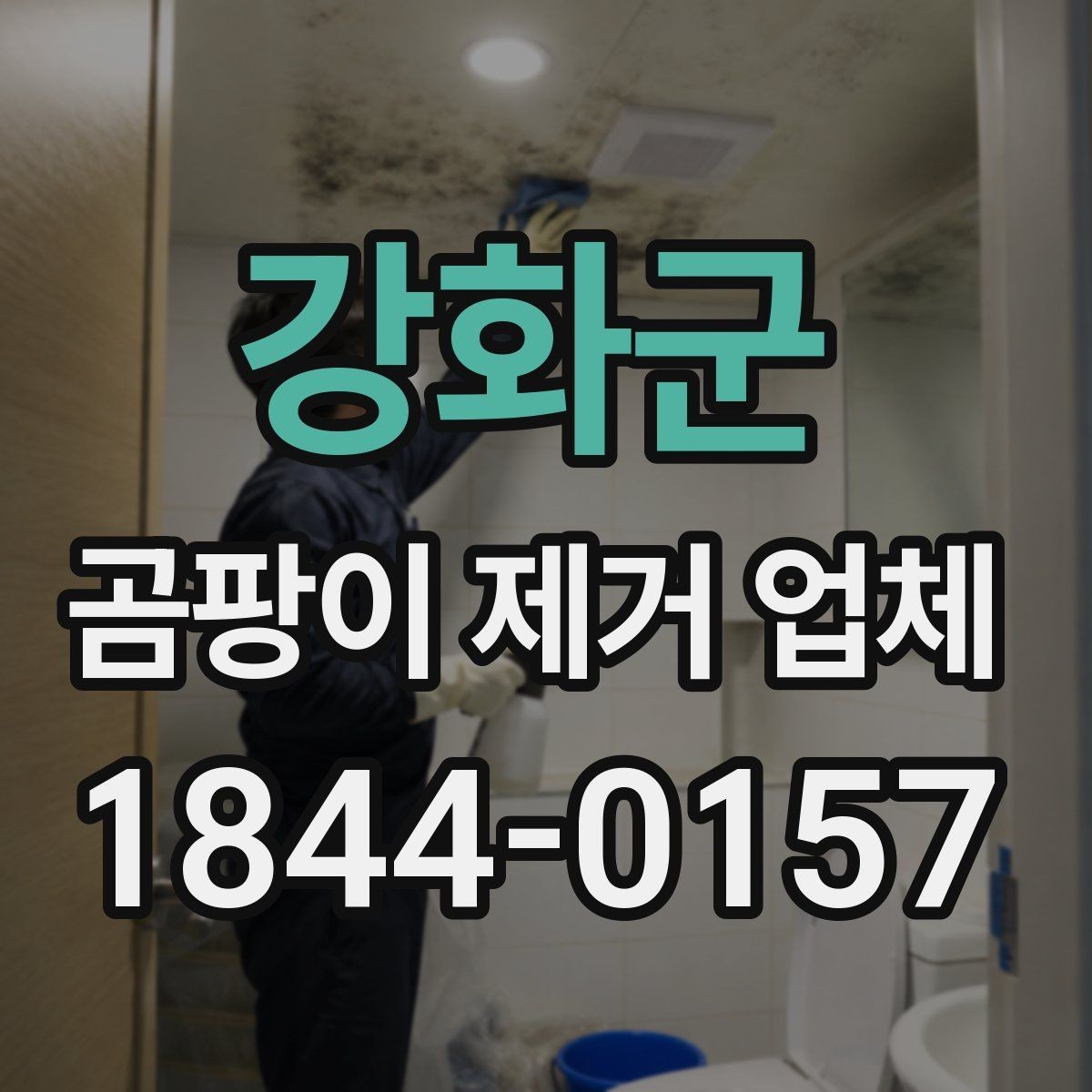 강화군 곰팡이 제거 업체 선택 기준을 공간별로 정리