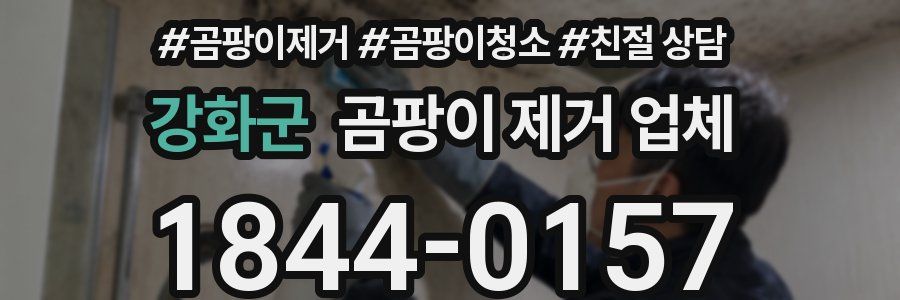 강화군 곰팡이 제거 업체