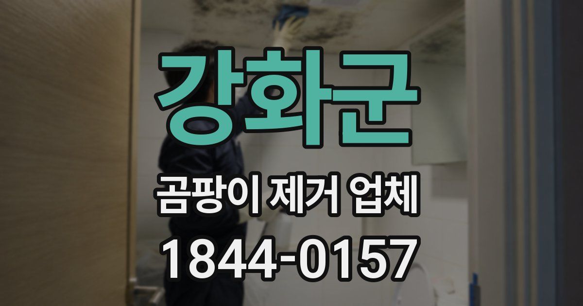 강화군 곰팡이 제거 업체