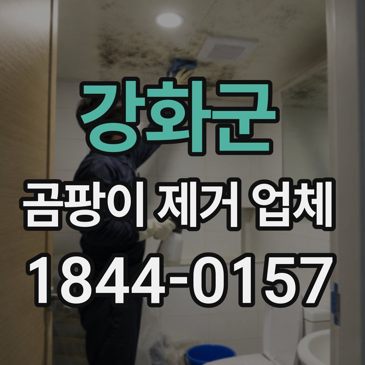 강화군 곰팡이 제거 업체