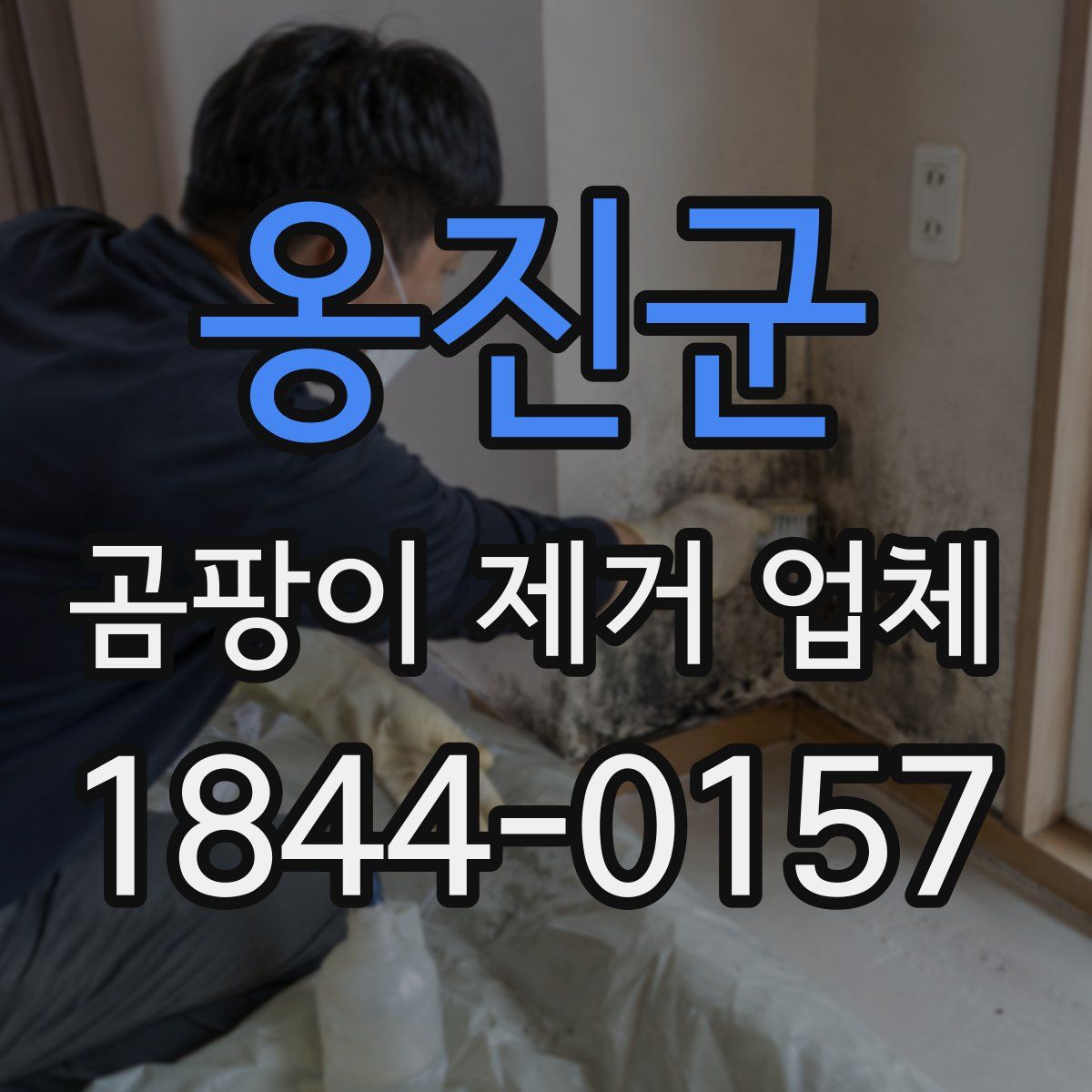 옹진군 곰팡이 제거 업체