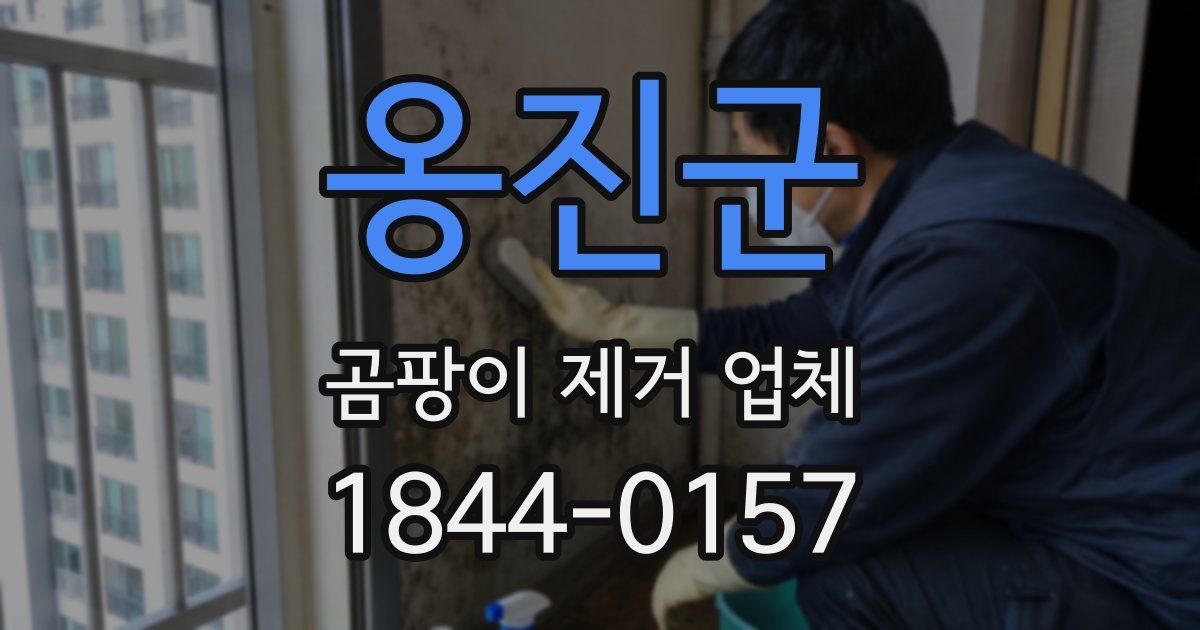 옹진군 곰팡이 제거 업체