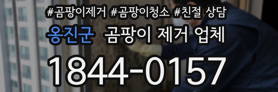 옹진군 곰팡이 제거 업체