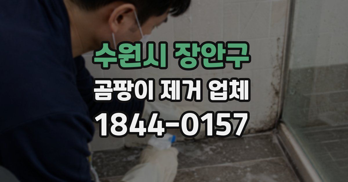 수원시 장안구 곰팡이 제거 업체