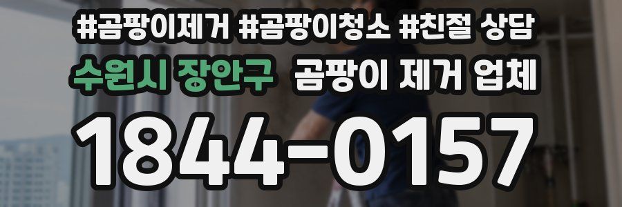 수원시 장안구 곰팡이 제거 업체
