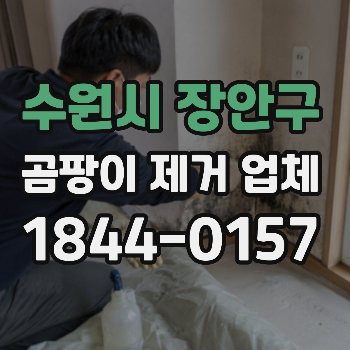 수원시 장안구 곰팡이 제거 업체
