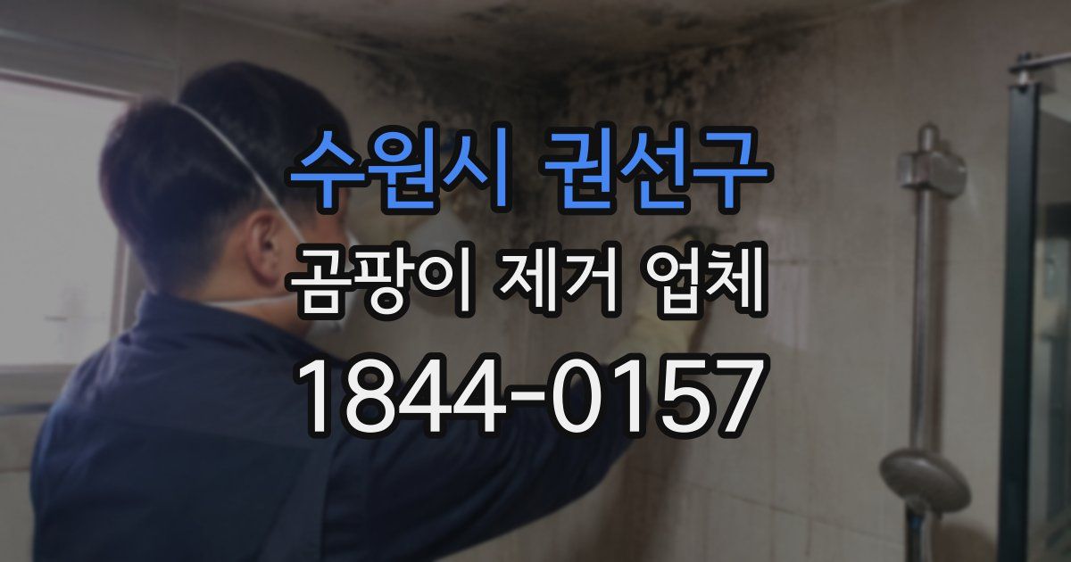 수원시 권선구 곰팡이 제거 업체