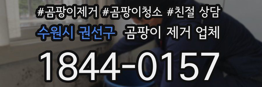수원시 권선구 곰팡이 제거 업체
