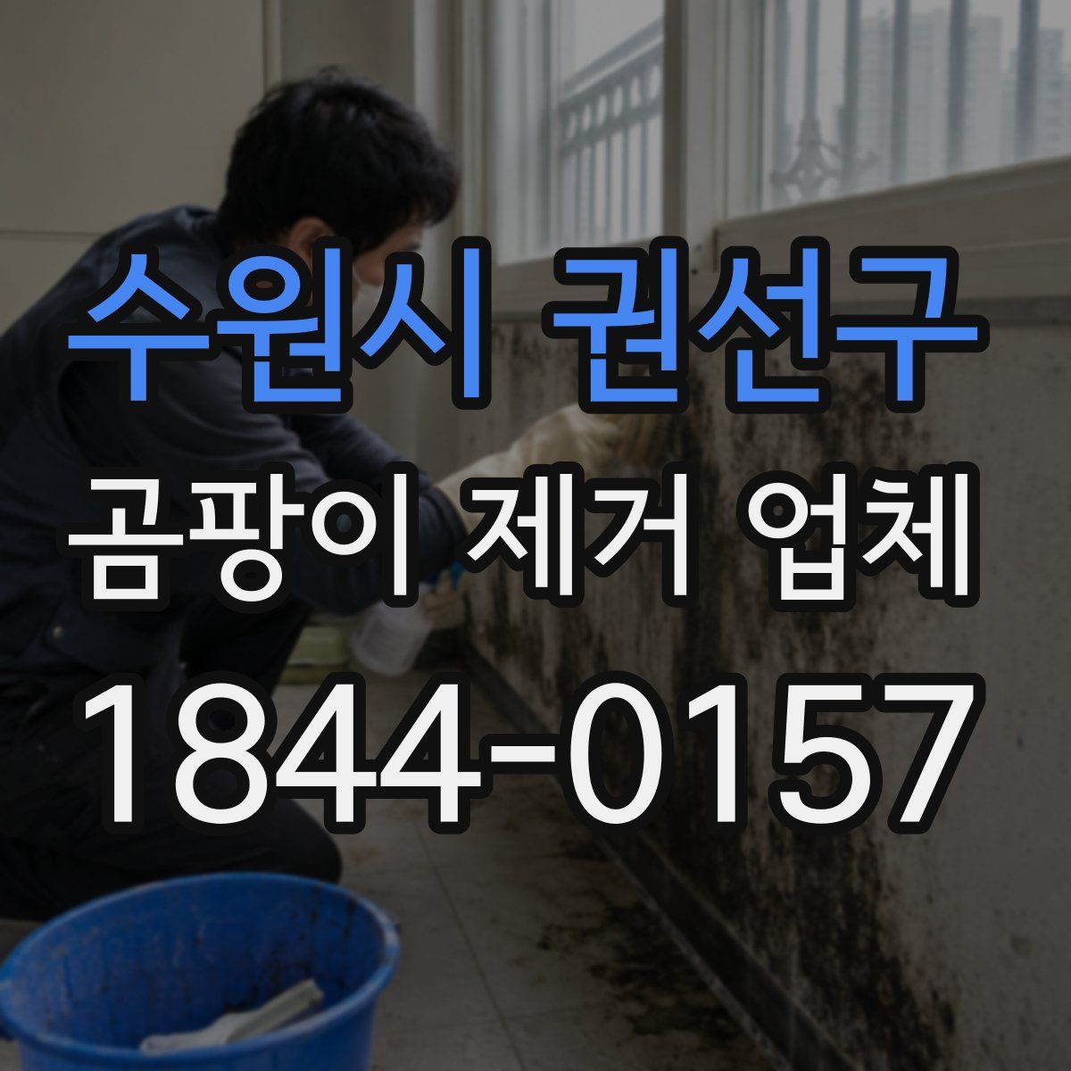 수원시 권선구 곰팡이 제거 업체