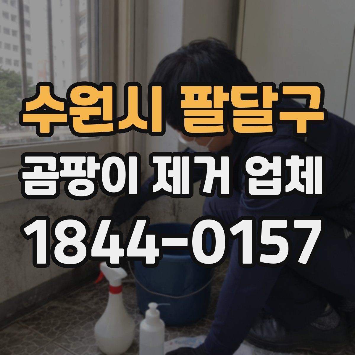수원시 팔달구 곰팡이 제거 업체 상담 시 물어볼 핵심 질문