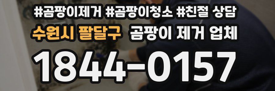 수원시 팔달구 곰팡이 제거 업체