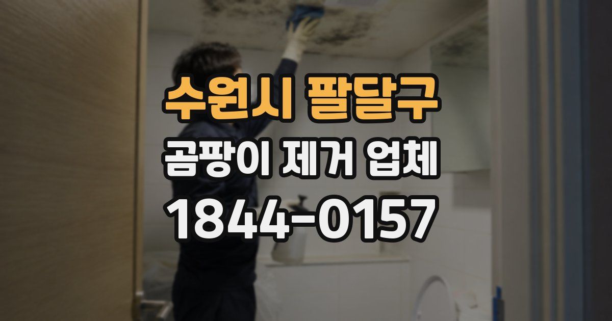수원시 팔달구 곰팡이 제거 업체