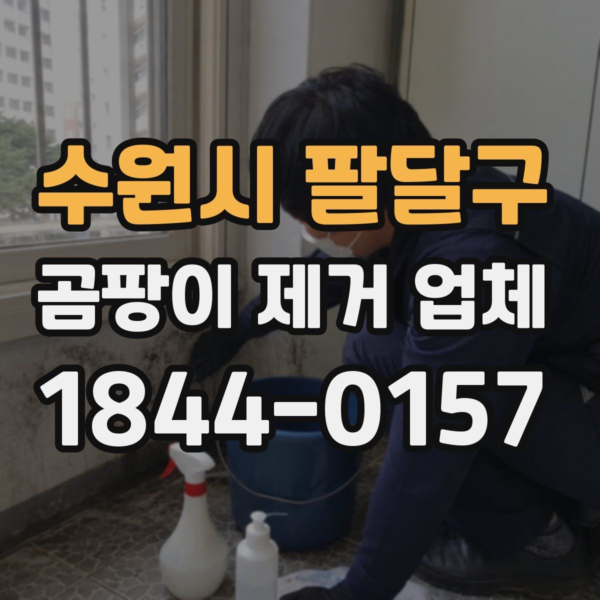 수원시 팔달구 곰팡이 제거 업체