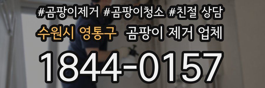 수원시 영통구 곰팡이 제거 업체
