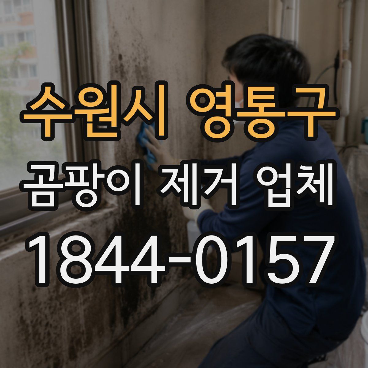 수원시 영통구 곰팡이 제거 업체