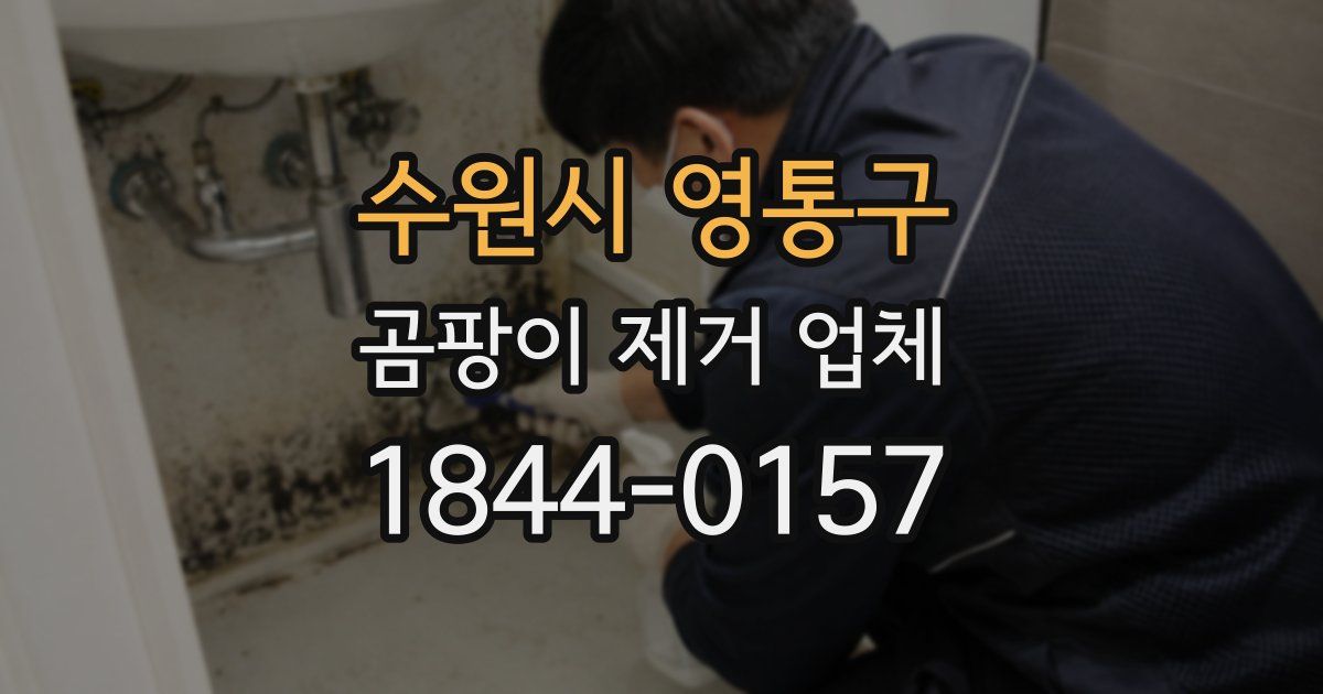 수원시 영통구 곰팡이 제거 업체