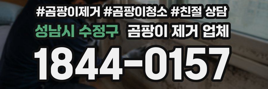 성남시 수정구 곰팡이 제거 업체