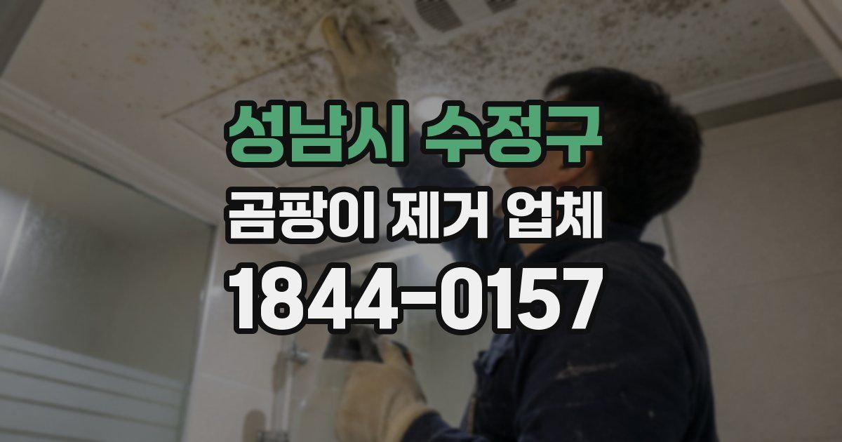 성남시 수정구 곰팡이 제거 업체