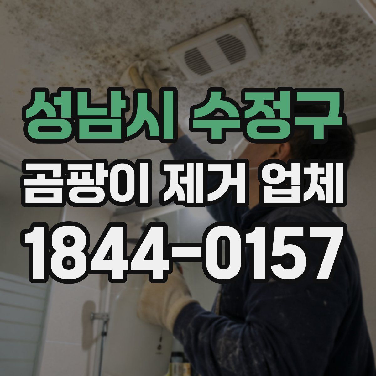 성남시 수정구 곰팡이 제거 업체