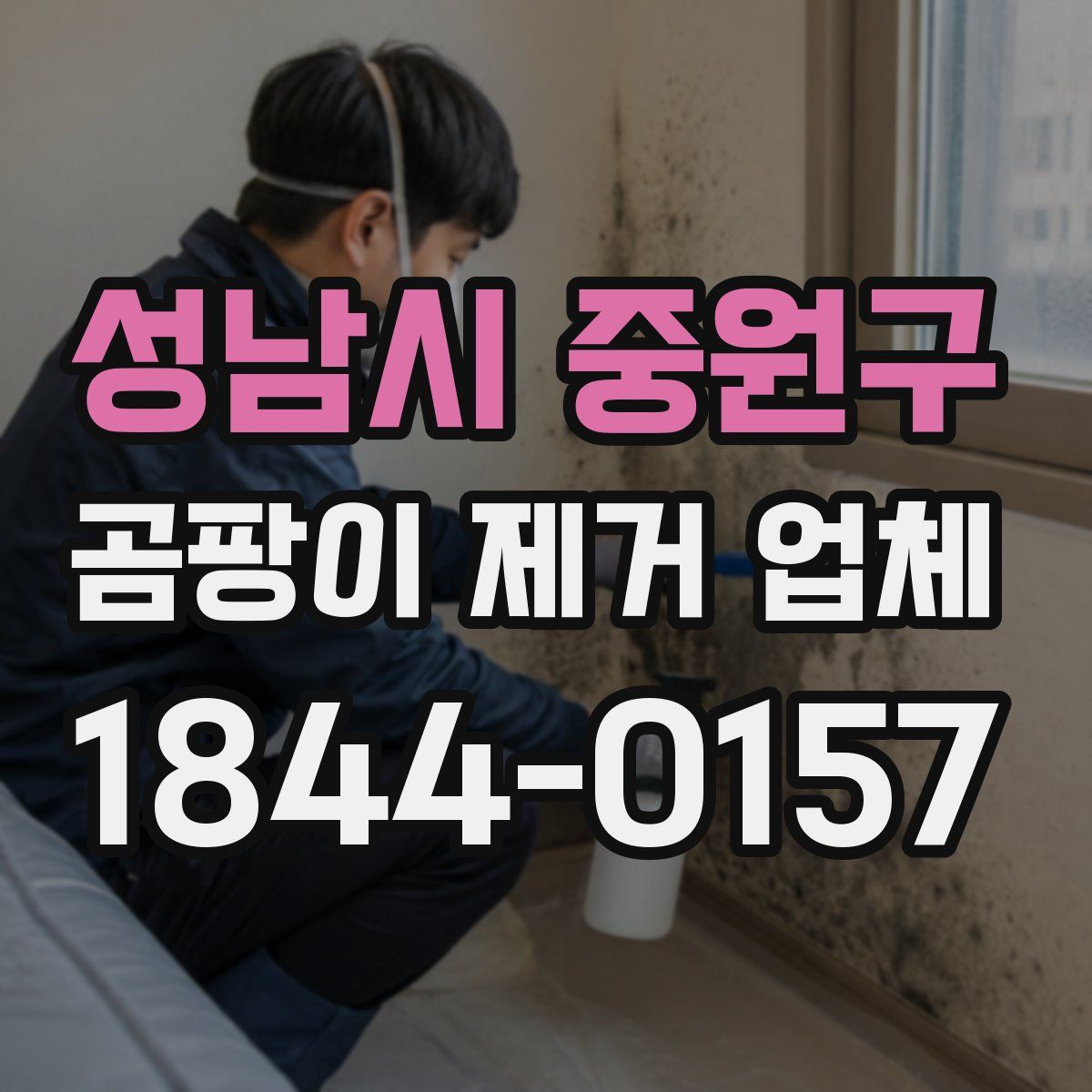 성남시 중원구 곰팡이 제거 업체