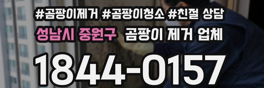 성남시 중원구 곰팡이 제거 업체