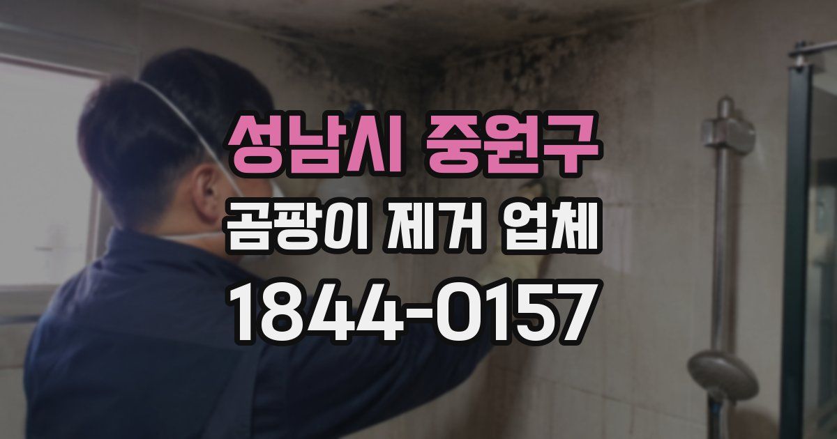 성남시 중원구 곰팡이 제거 업체