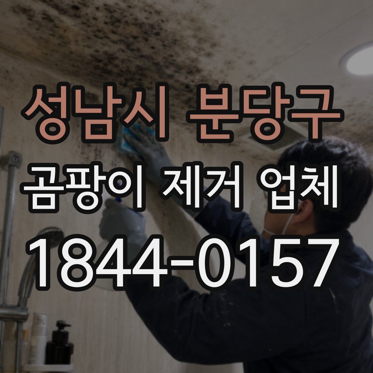 성남시 분당구 곰팡이 제거 업체