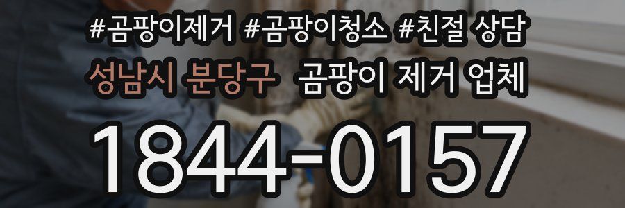 성남시 분당구 곰팡이 제거 업체