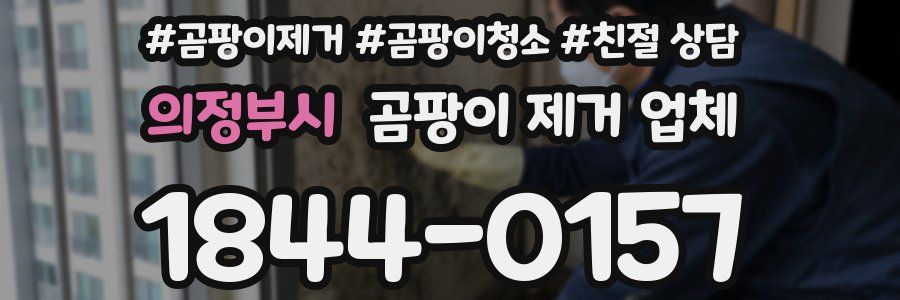 의정부시 곰팡이 제거 업체