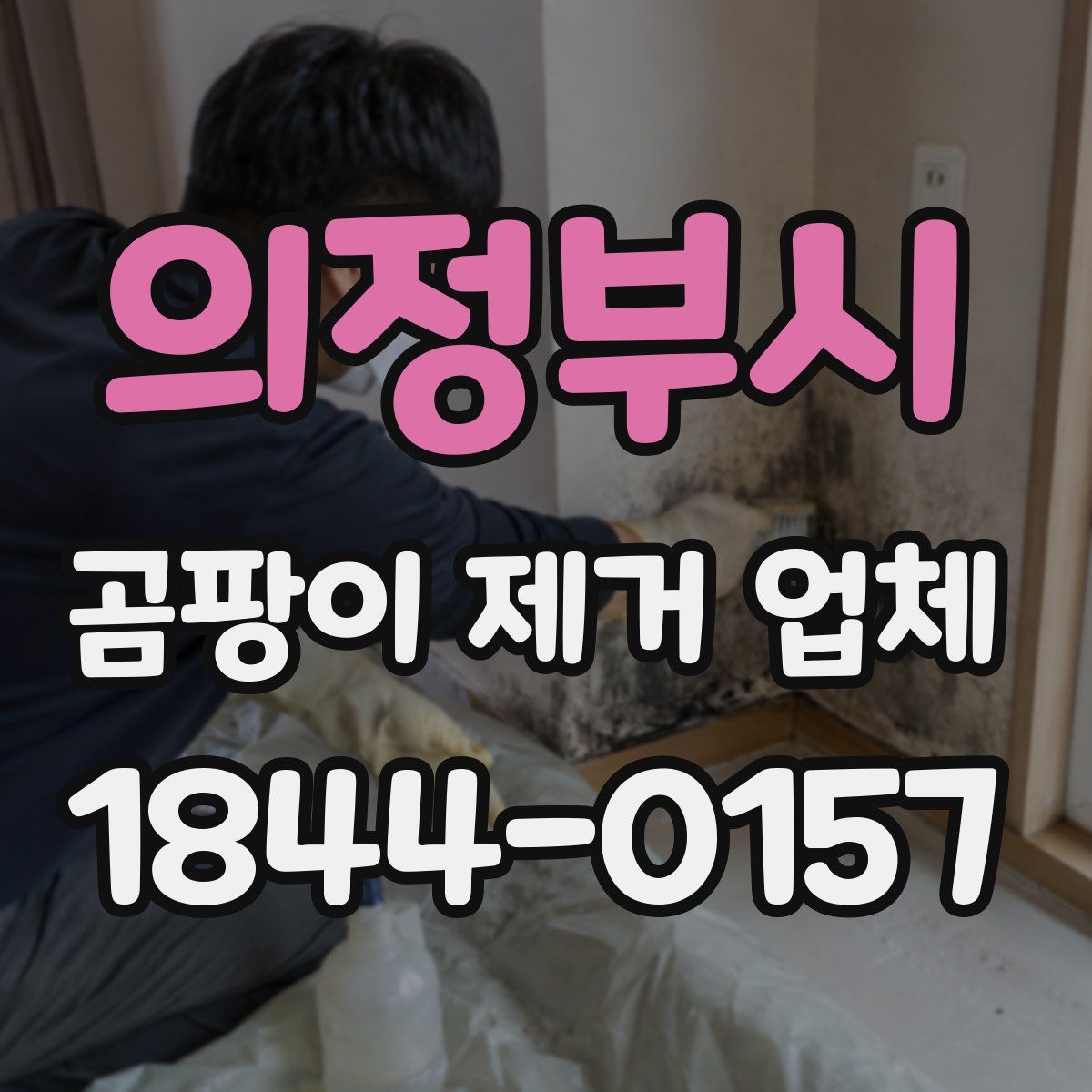 의정부시 곰팡이 제거 업체