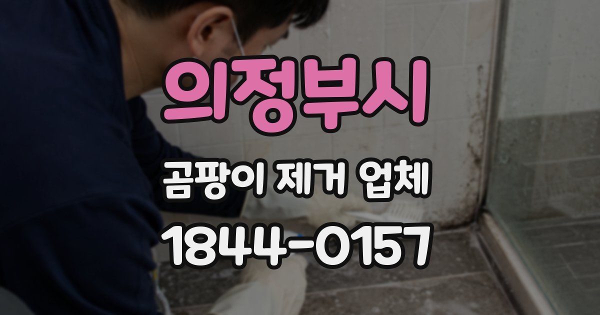 의정부시 곰팡이 제거 업체