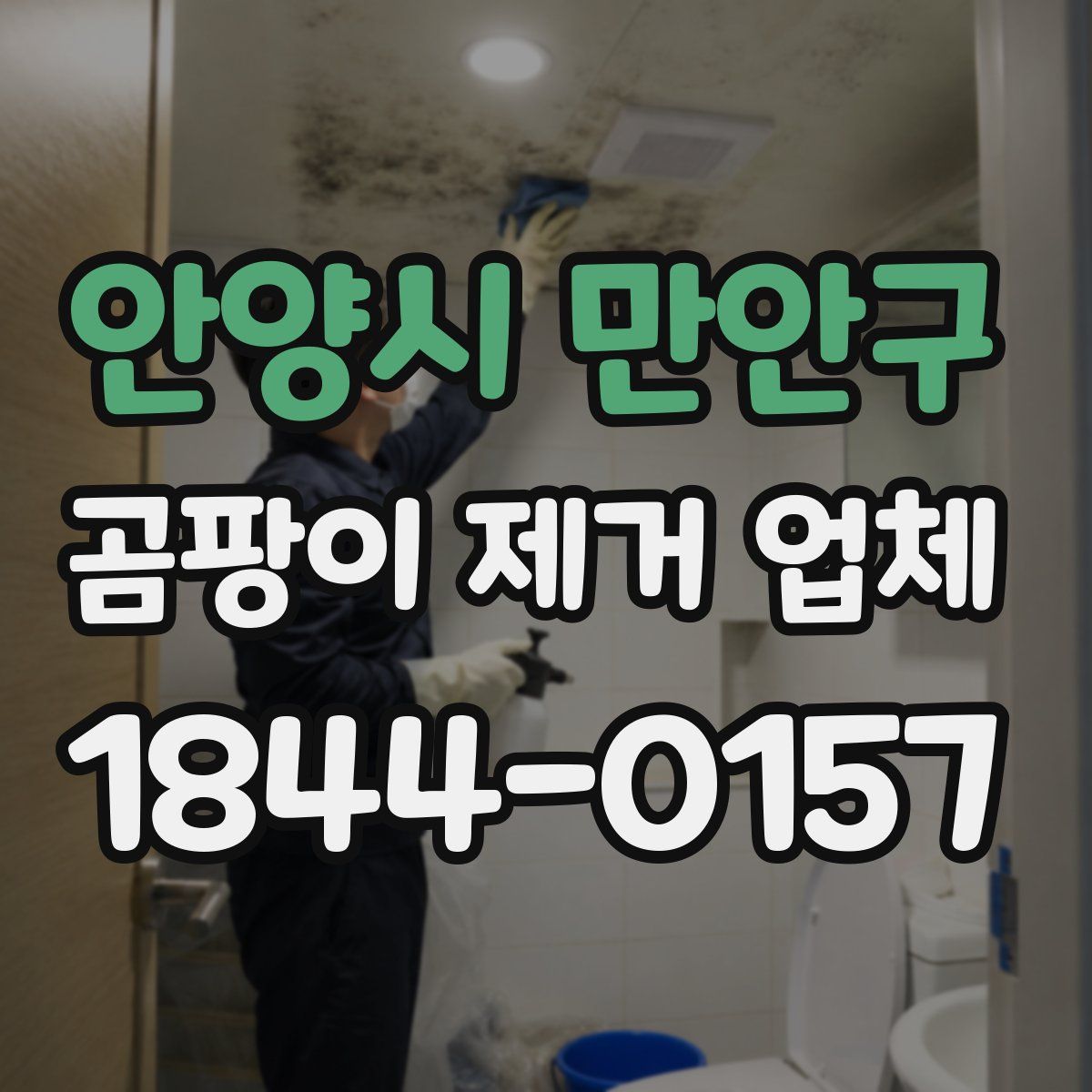 안양시 만안구 곰팡이 제거 업체