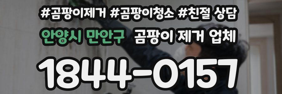 안양시 만안구 곰팡이 제거 업체
