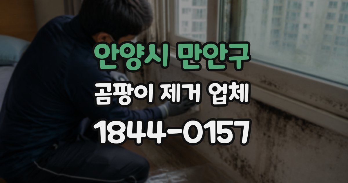 안양시 만안구 곰팡이 제거 업체