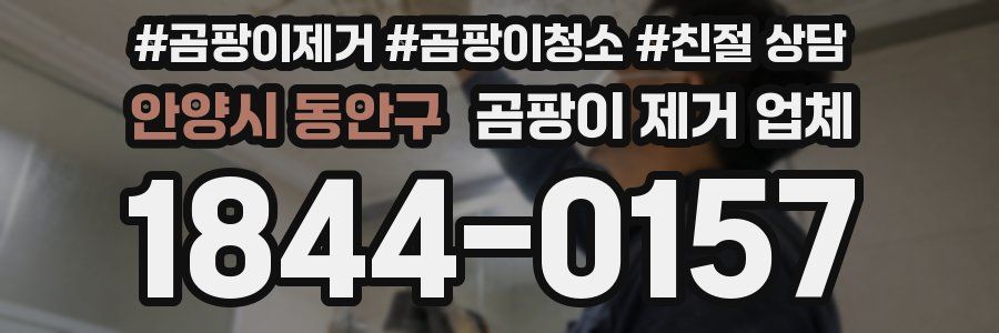 안양시 동안구 곰팡이 제거 업체